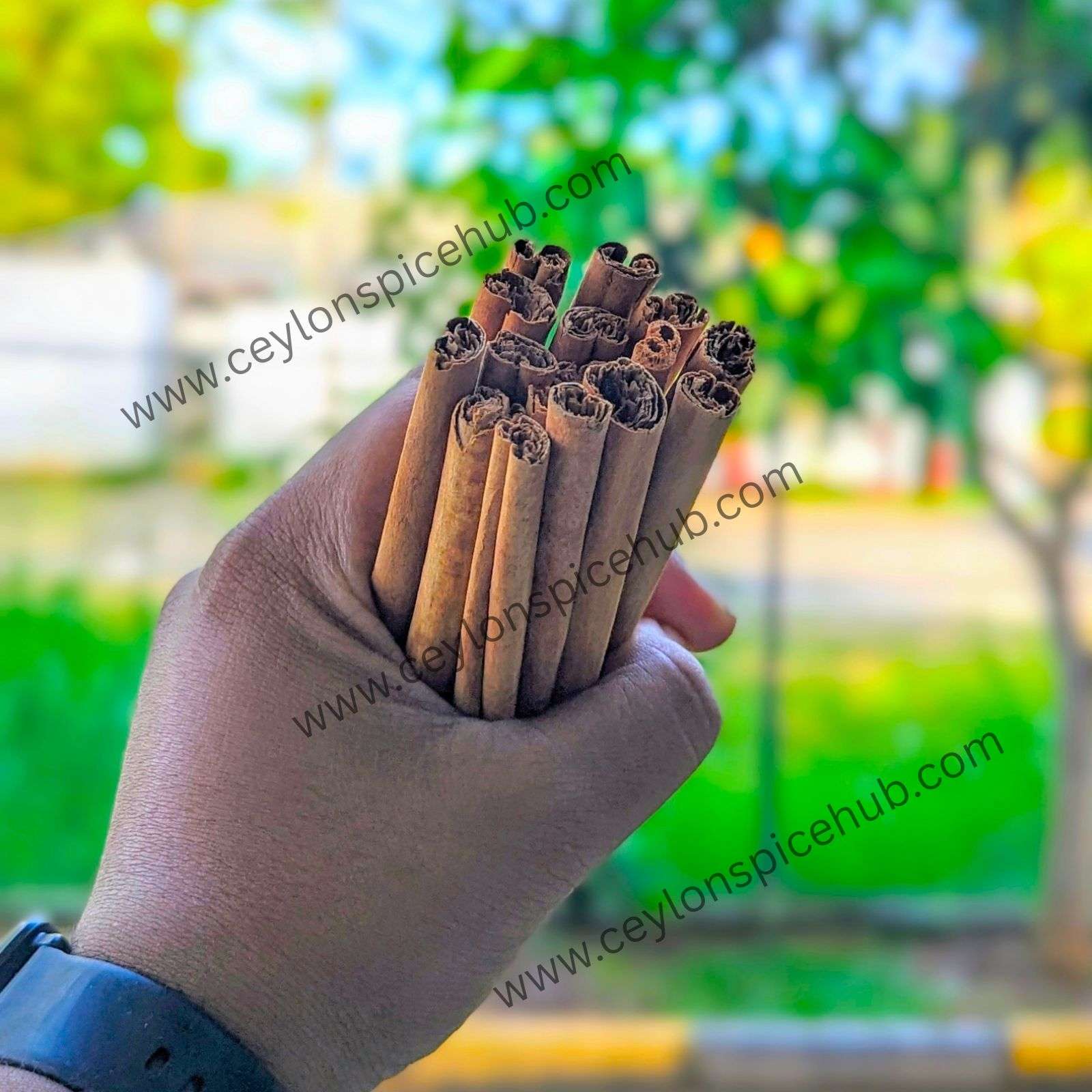 Organic Ceylon Cinnamon Sticks 200g | True Cinnamon | Free Shipping
